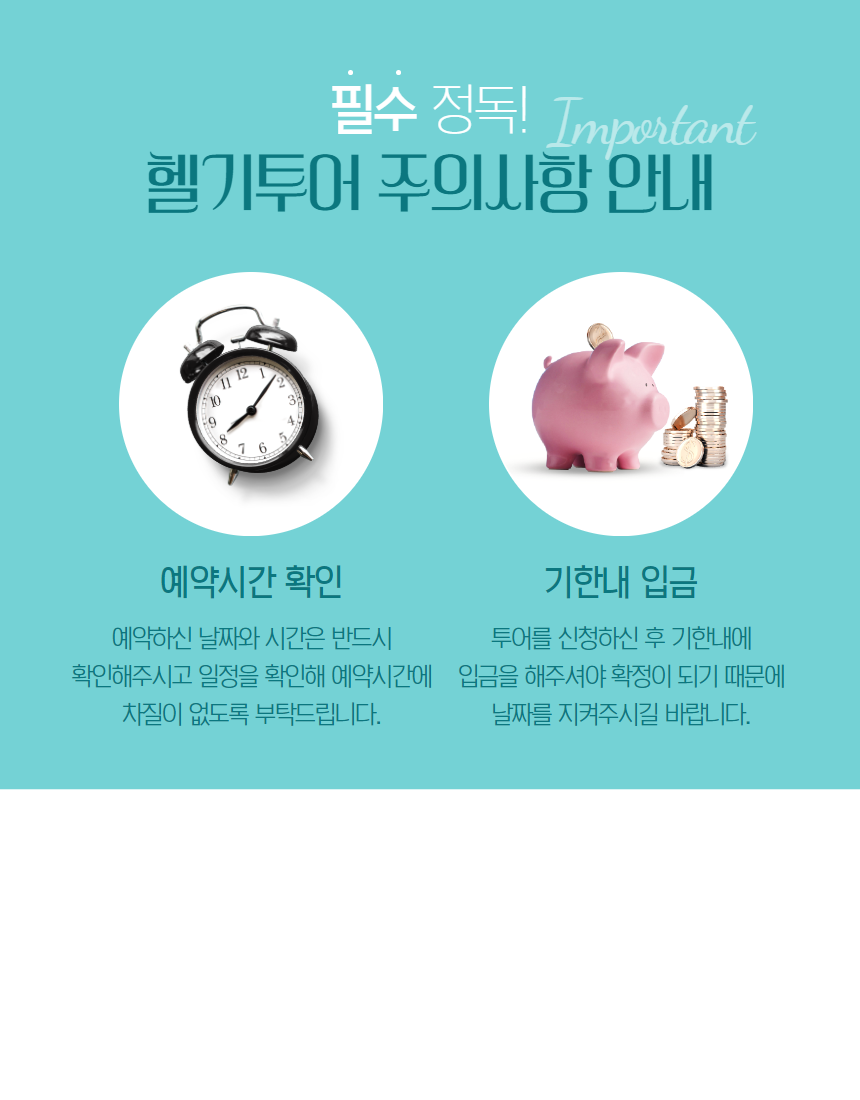 마이로컬투어 하와이 헬기투어