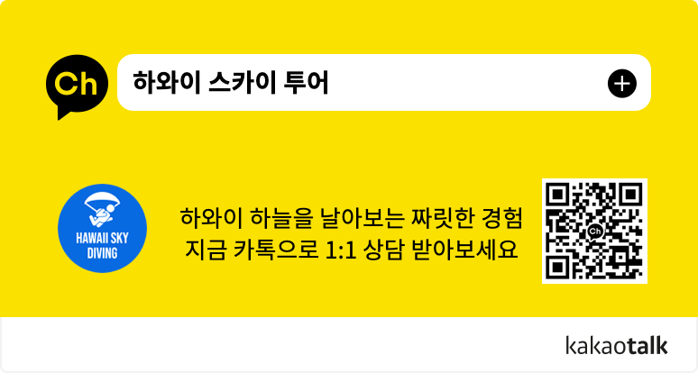 스카이다이빙 카카오톡 연결