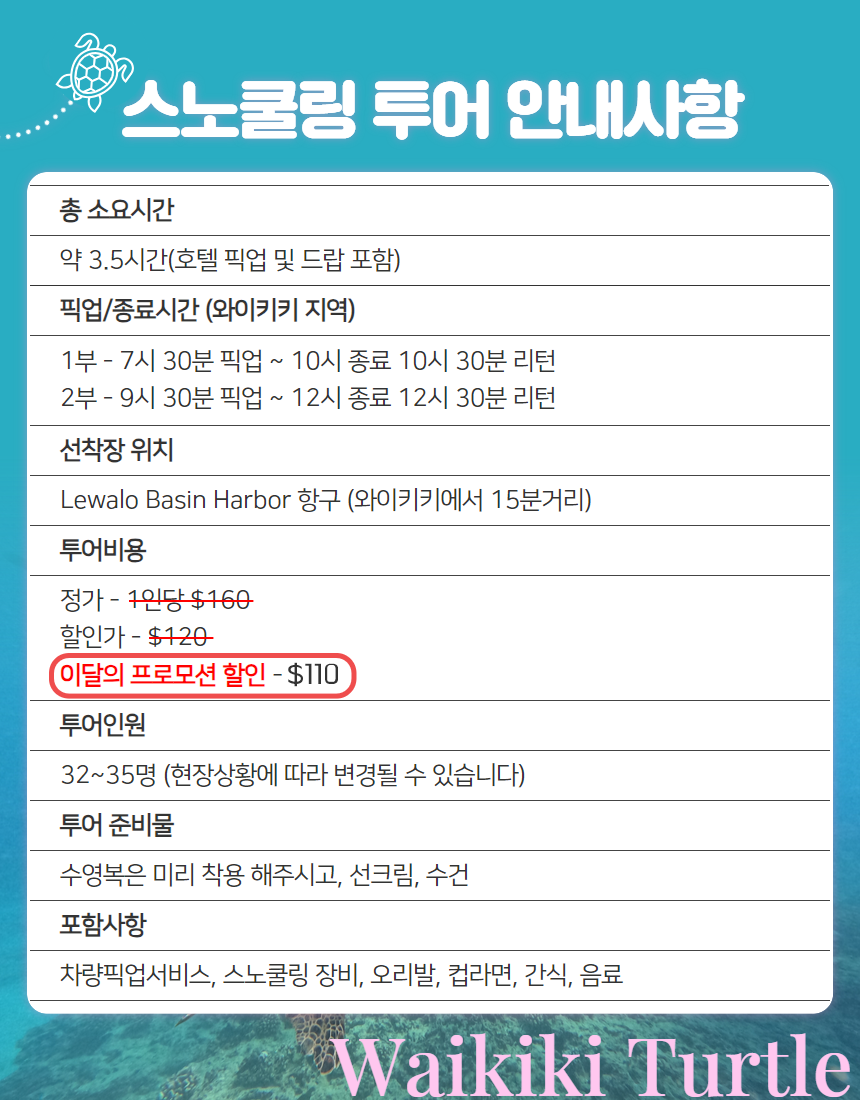 마이로컬투어 와이키키 스노쿨링