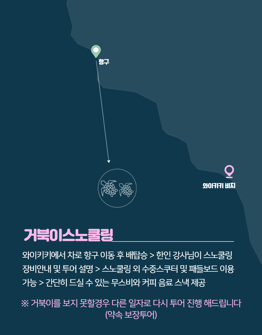 마이로컬투어 와이키키 스노쿨링