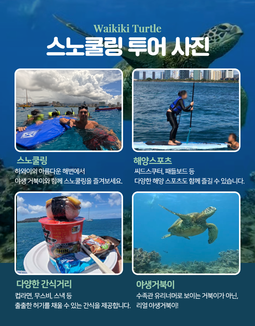 마이로컬투어 와이키키 스노쿨링