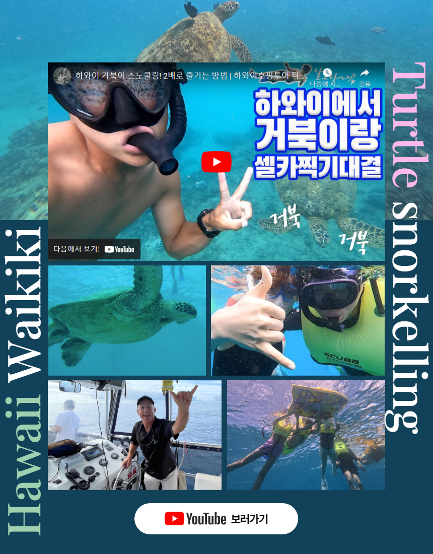 마이로컬투어 와이키키 스노쿨링