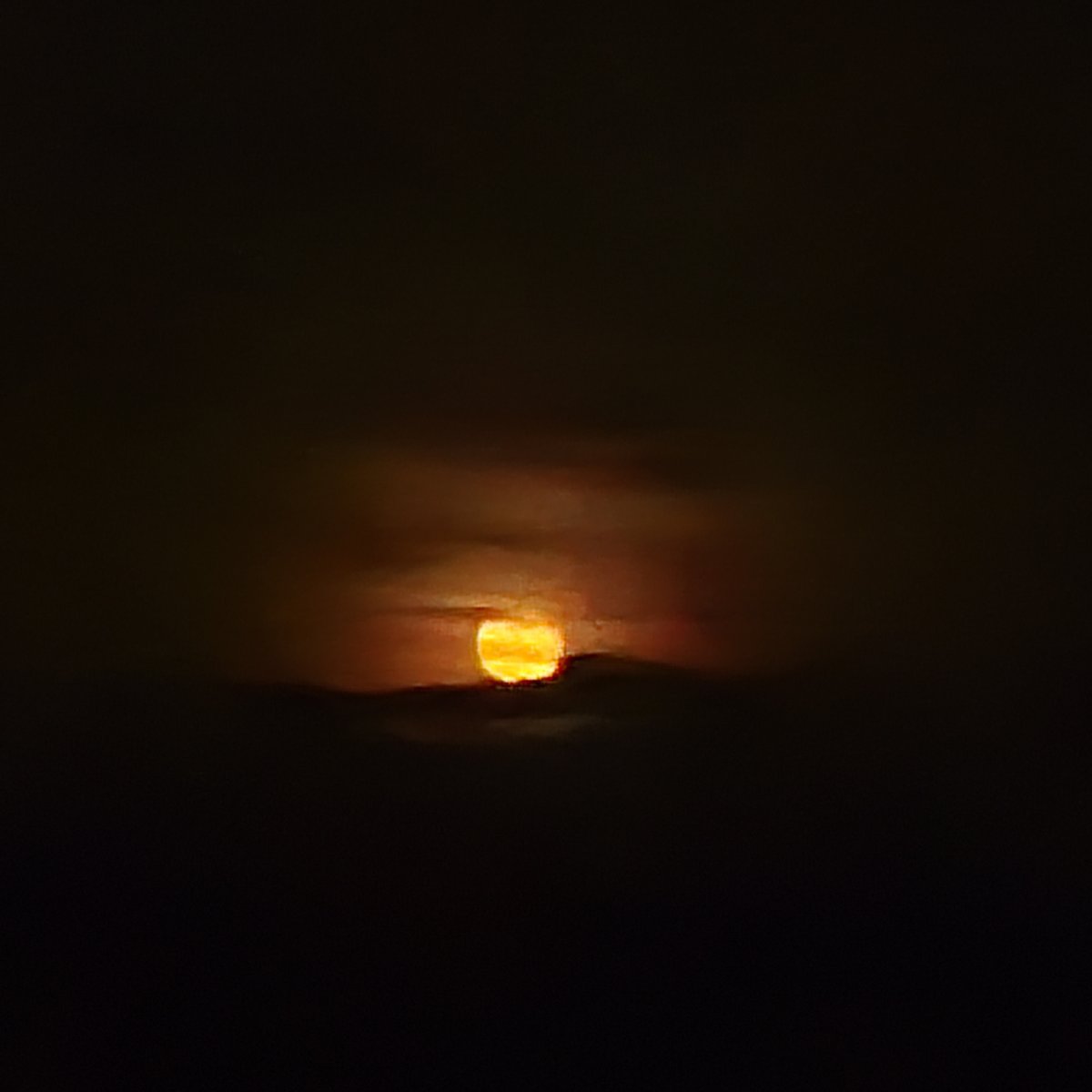 리뷰 이미지 11