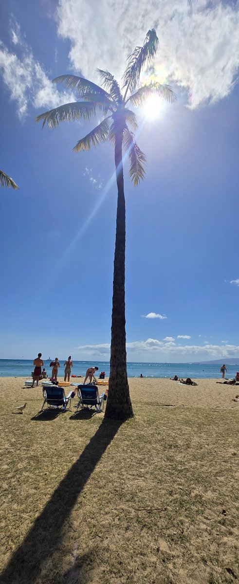 Mahalo :)