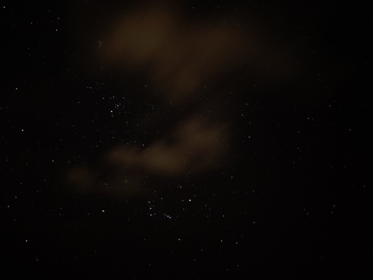 와이키키 마지막 밤은 별관찰로