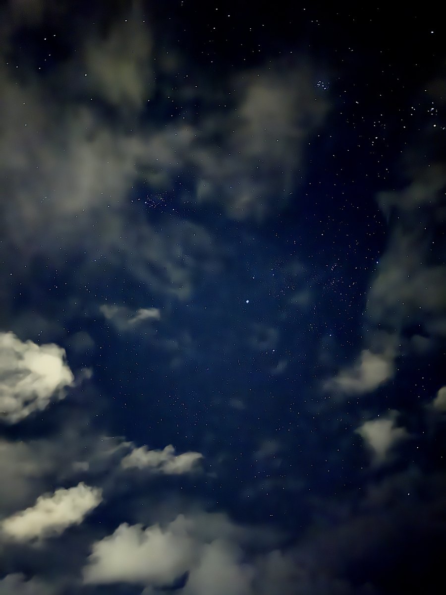 별밤투어 리얼후기