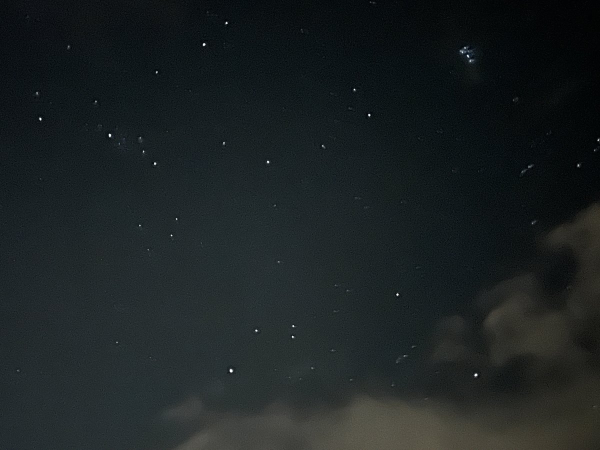 하와이 별밤투어 리얼후기