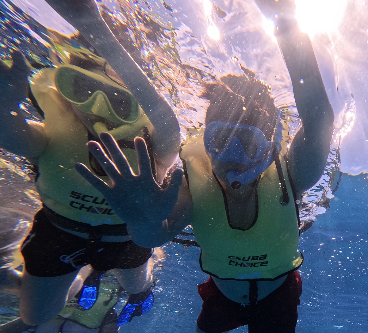 대박사건! 거북이 짱 많아요!